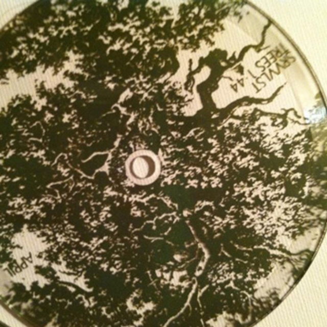 This Bottle is Bottomless