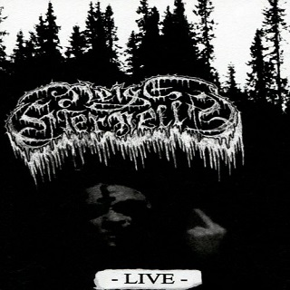 Plus les jours s'avancent