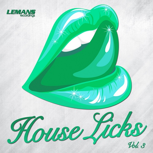 House Licks Vol 3