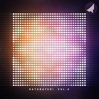 SATURATED! VOL. 2