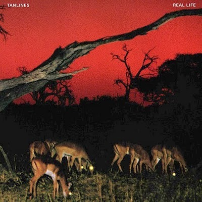 Real Life (Memory Tapes remix).