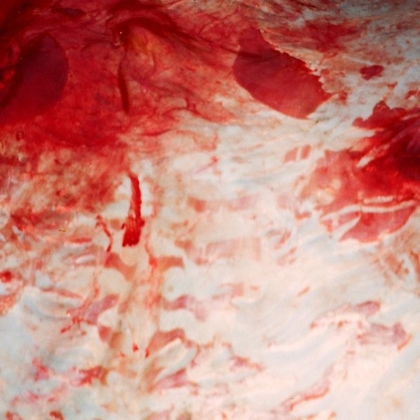 I'm Still In The Night