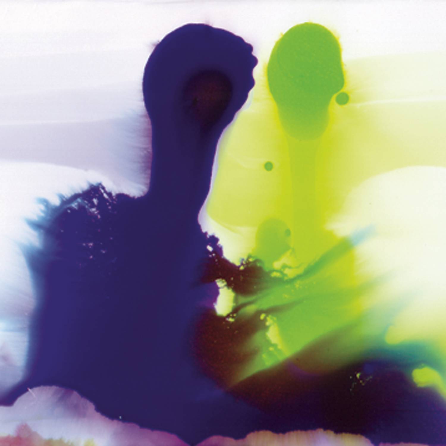 Congratulations (Live at The Bataclan)