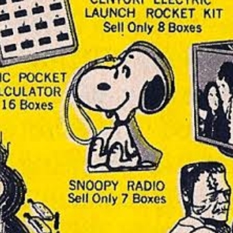 Valley of the Saroos (Joe Meek Cover)