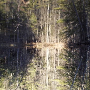 Laminar Excursion Monthly: Vol. 1. Jan. 2010