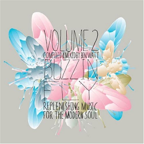 Buzzin Fly Volume 2: Replenishing Music For The Modern Soul