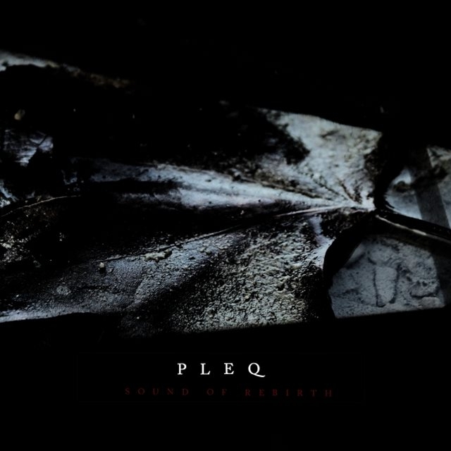 Black Dog (feat. hiiro-tent)