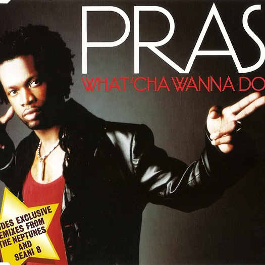 What'cha Wanna Do (LP Version)