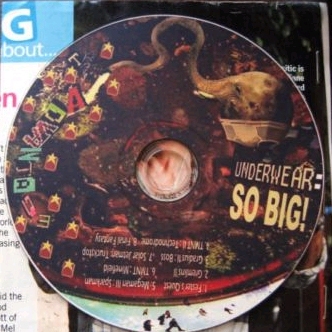 Teenage Mutant Ninja Turtles - Minefield