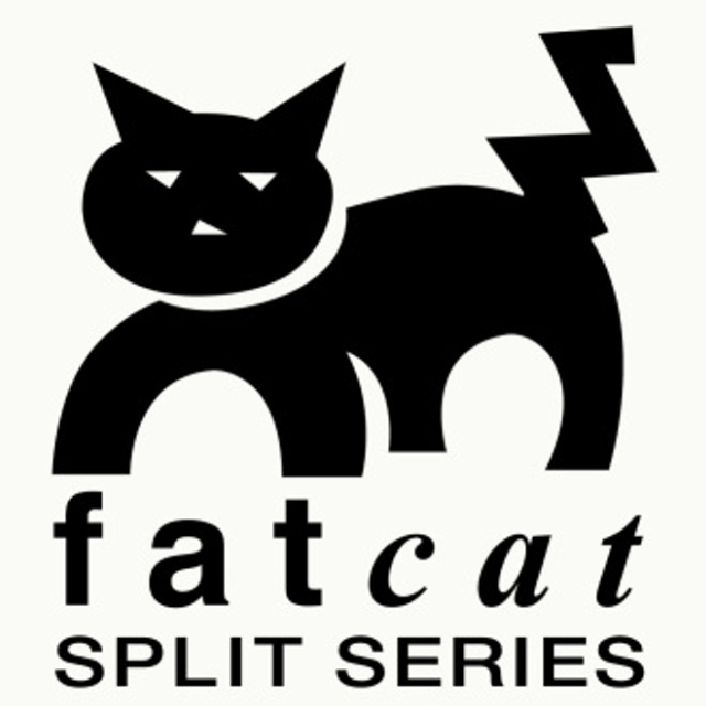 14 tracks: FatCat Split Series