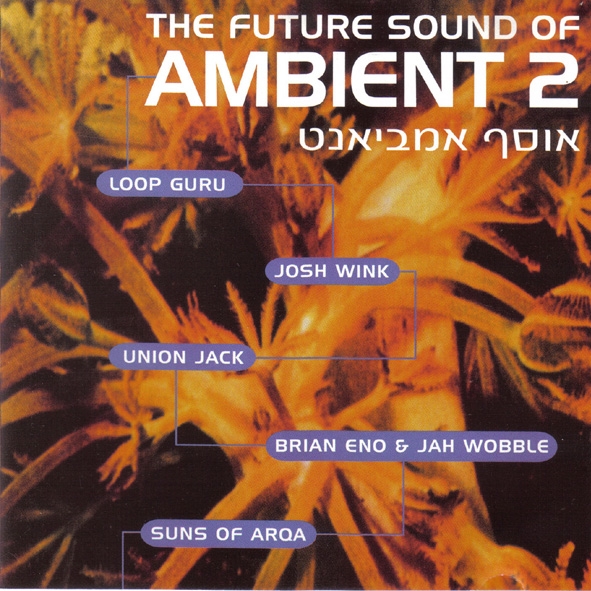 The Future Sound of Ambient II