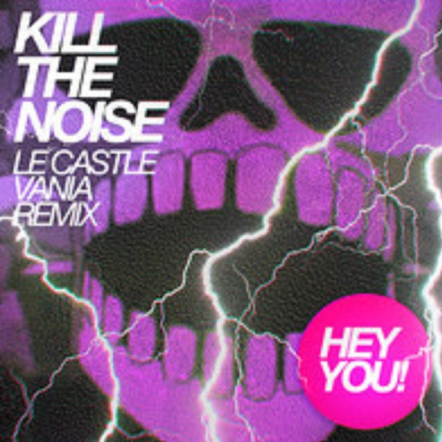 Hey You (Le Castle Vania Remix)