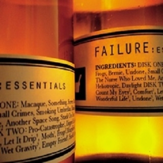 Moth (Magnified Demo)