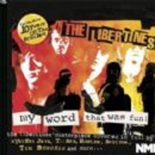 NME Presents - The Libertines, My Word That Was Fun!