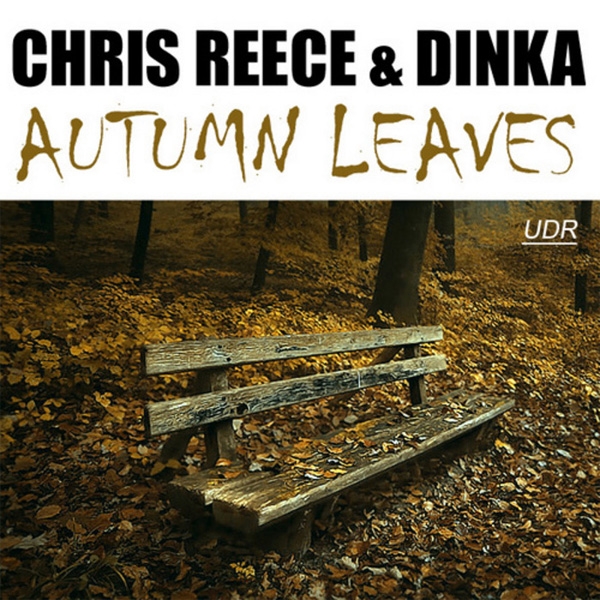 Autumn Leaves (Stanley Ross Mental Techno Remix)