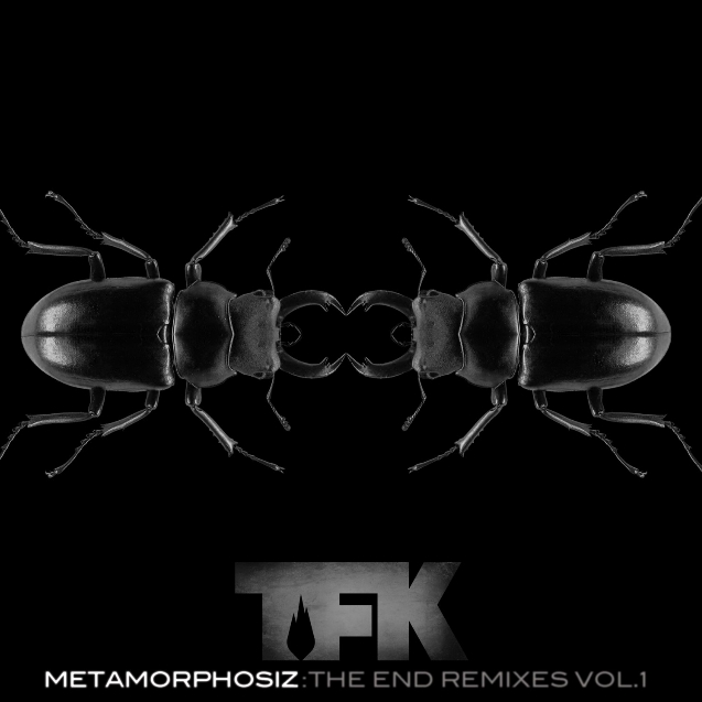 Metamorphosiz The End Remixes, Vol. 1
