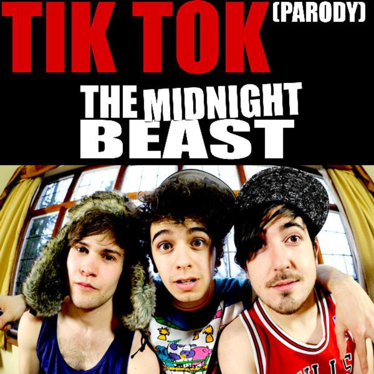Tik Tok (Parody)