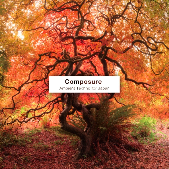 Composure: Ambient Techno for Japan