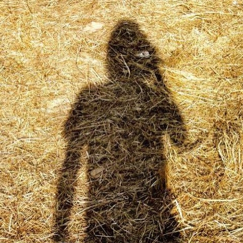 Observer Commercial 1998