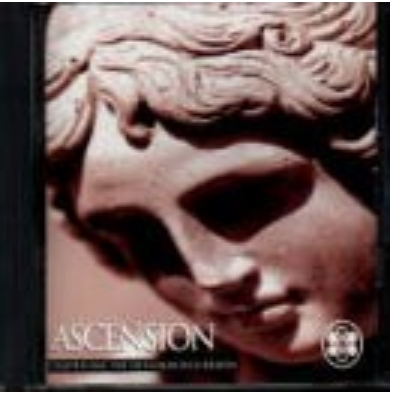 House (Peter Parker & Mr. Tom Anderson mix)