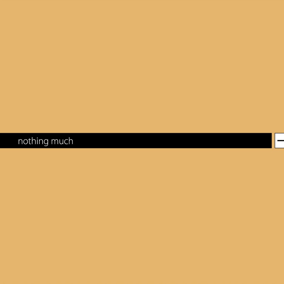 Nothing Much (A Best Of Minus)