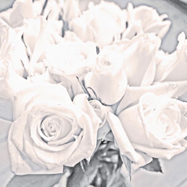 Honey Mine (Nacho Lovers Remix)