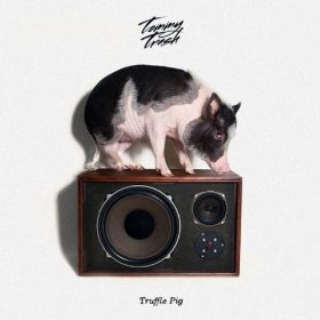 Truffle Pig (Original)