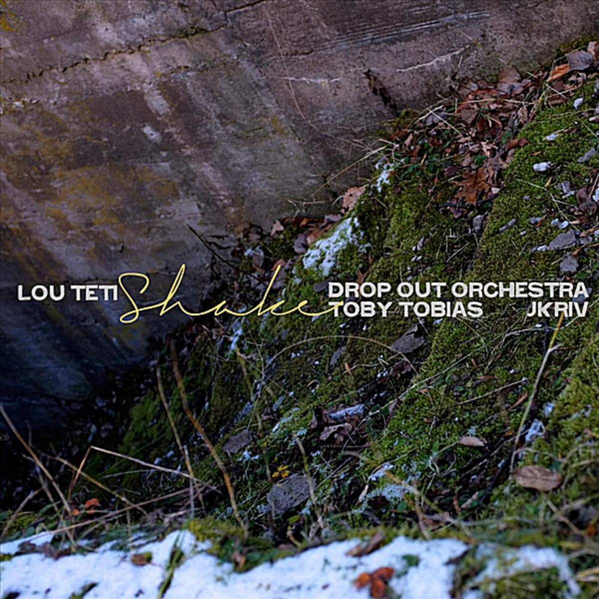 Shake (Toby Tobias mix)