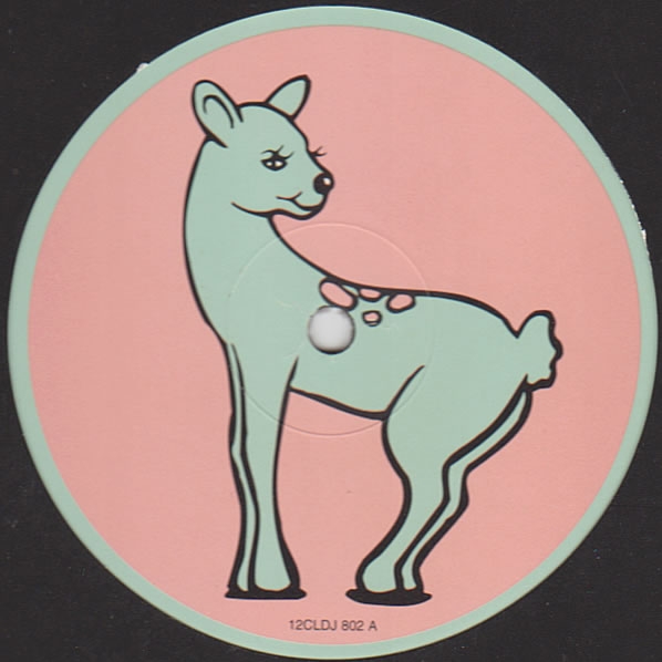 problem with sheldon