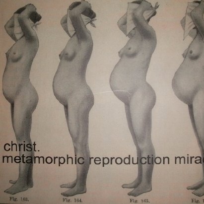 Metamorphic Reproduction Miracle