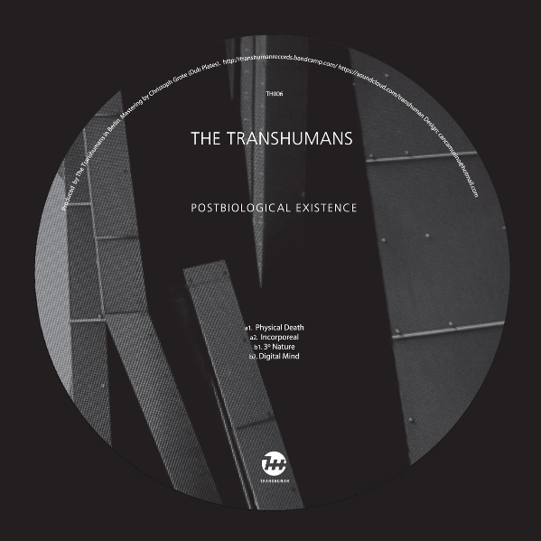 Postbiological Existence