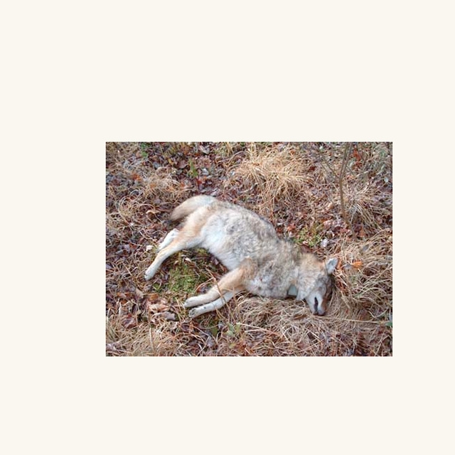 On Some Faraway Beach (Brian Eno)