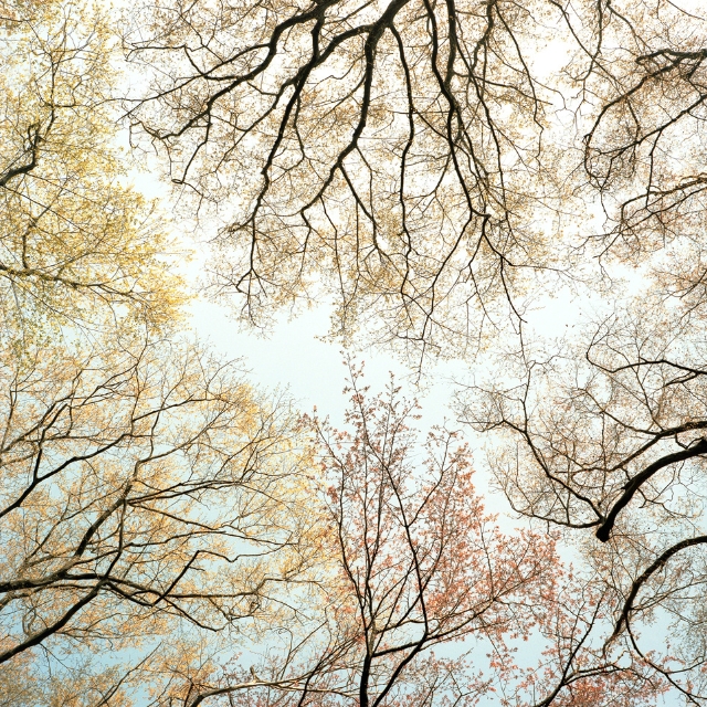 Varying Degrees of Alive