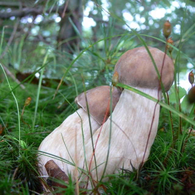 The Changing Of The Wind