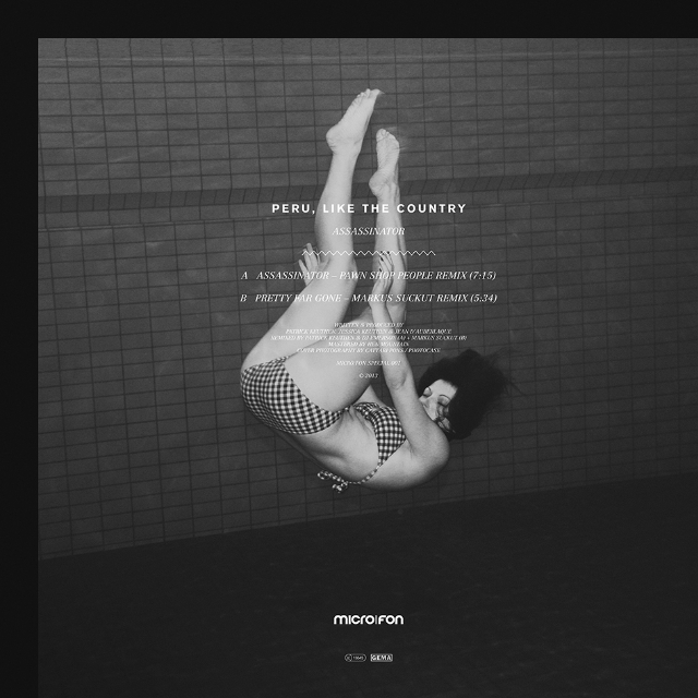 Assassinator (Pawn Shop People Remix)