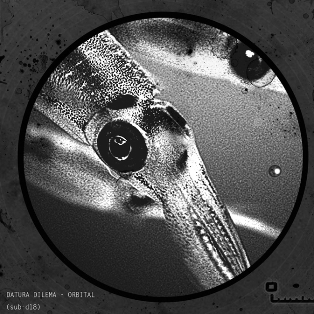 Turbulencia en un Sistema Lejano