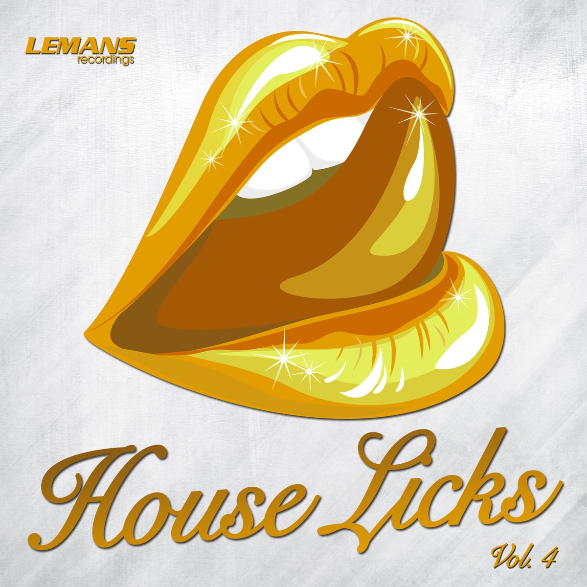 House Licks, Vol. 4