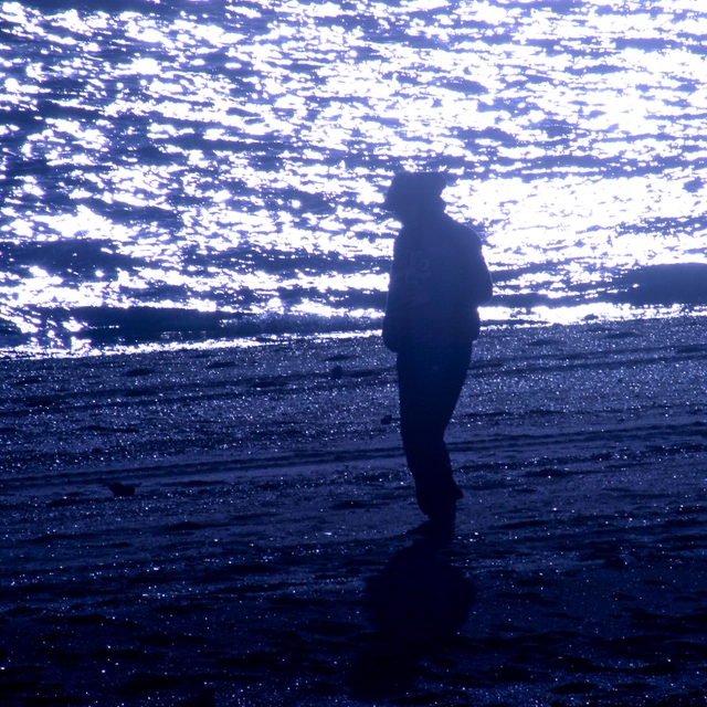 Shapeshifting Mongoose