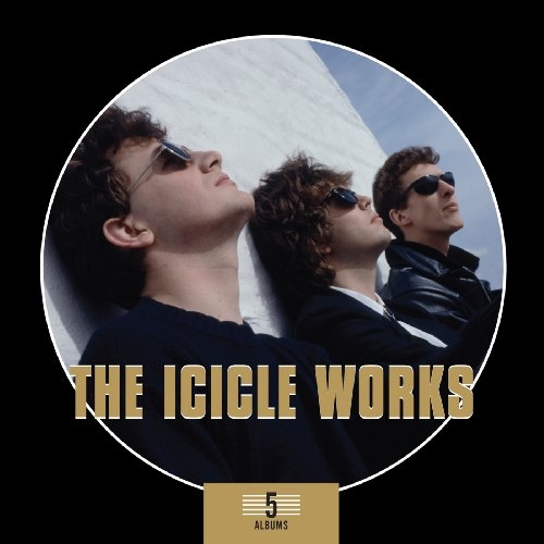 The Icicle Works -5 Album Box Set
