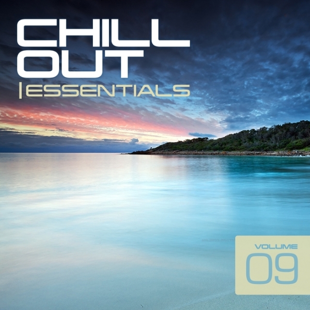 Chill Out Essentials Vol 9