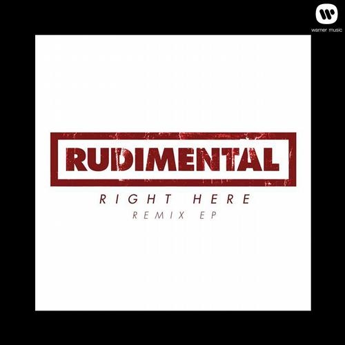 Right Here (Andy C Remix)