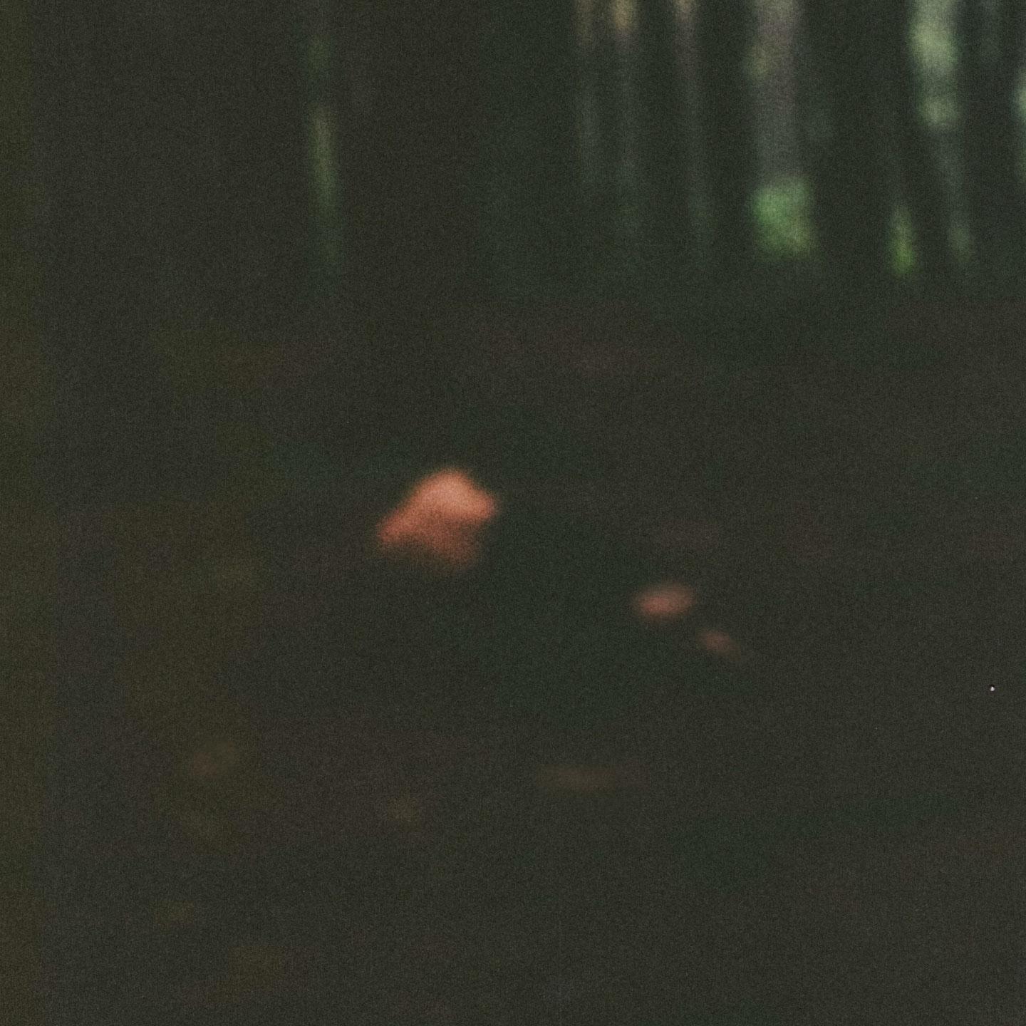 Semu