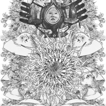 Courtly Illusion Limited