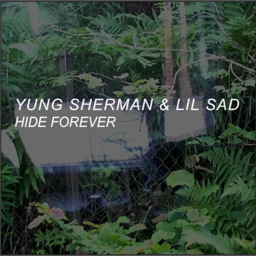 HIDE FOREVER