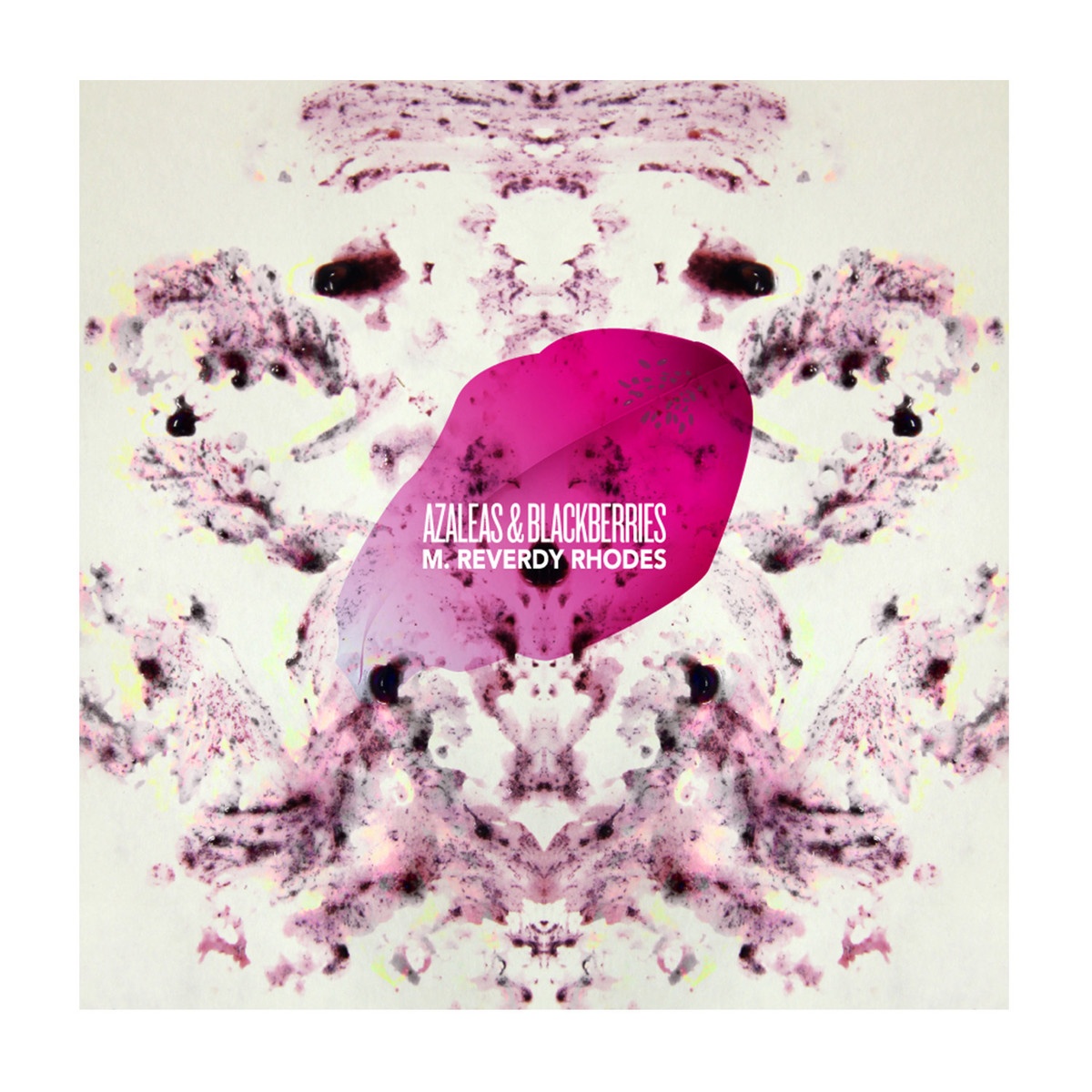 Azaleas & Blackberries