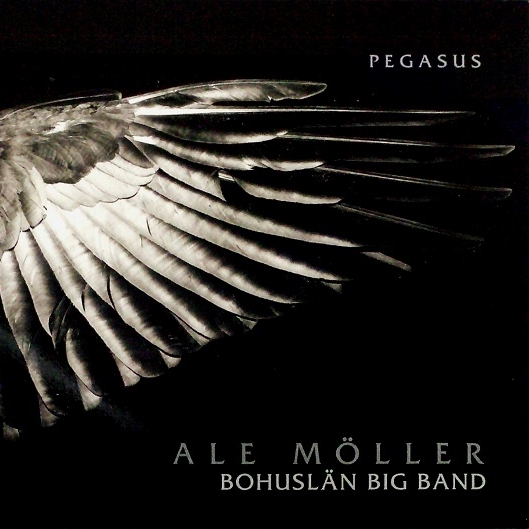 Vindskugga (Wind Shadow)