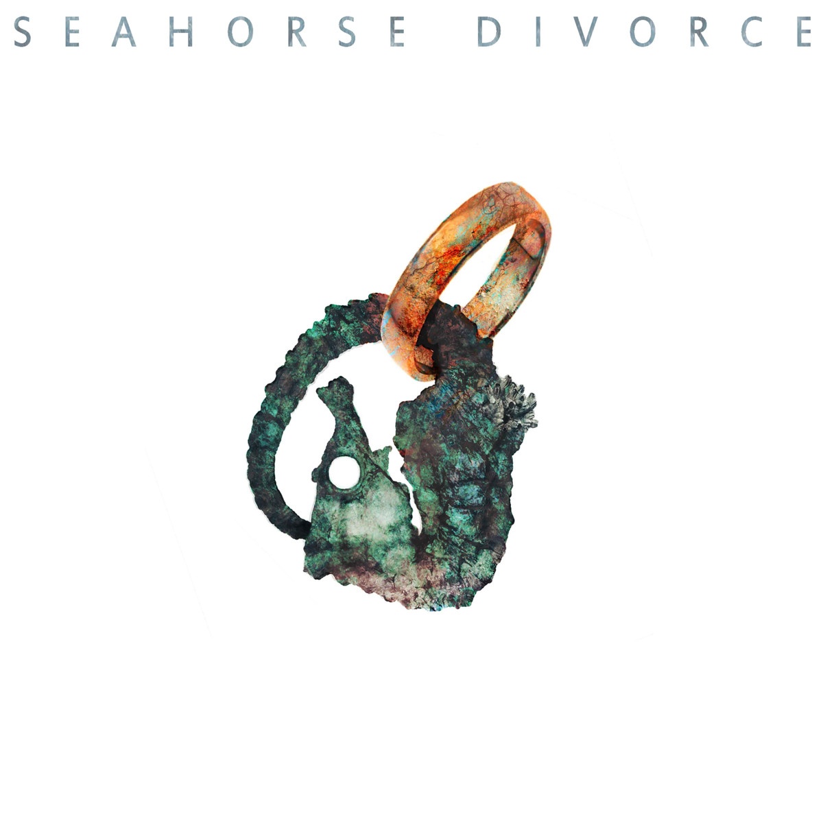 Seahorse Divorce