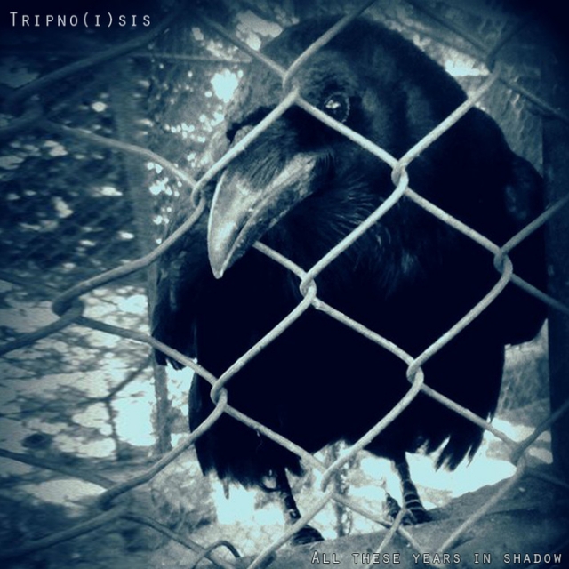 Ocean of Sadness (To the Eternity)