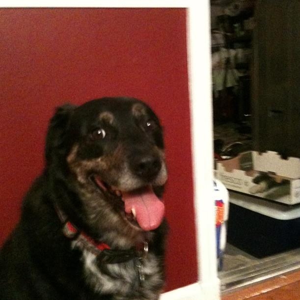 Do You Know Casey Linda?