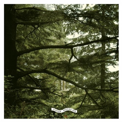 Meeting Sea (Woser Schelek Nb Remix)